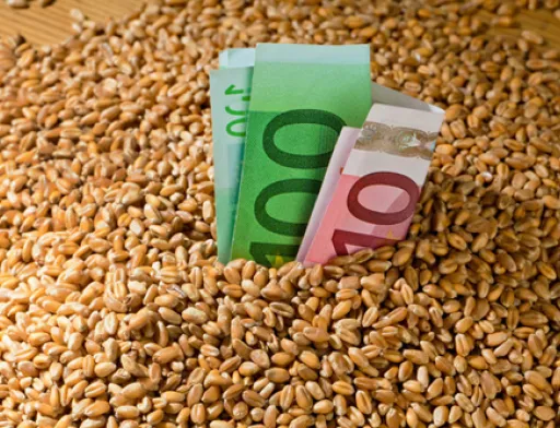 Україна в 2018/19 МР експортувала 49.7 млн тон зерна