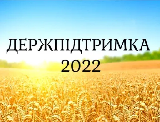 Чим держава підтримала аграріїв у 2022 році
