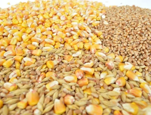 Розкрадання стратегічних резервів: чи є надія змінити ситуацію?