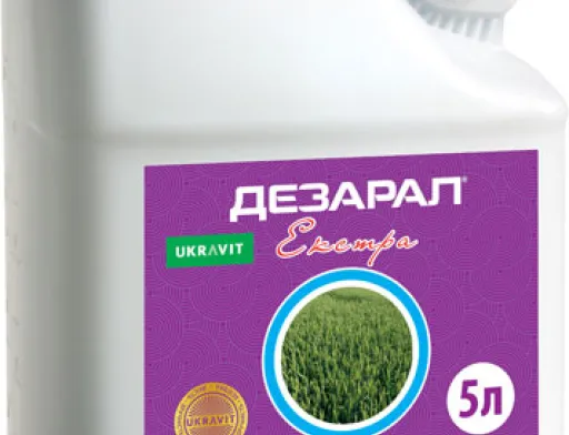 Контролюємо небезпечні захворювання озимих культур з осені