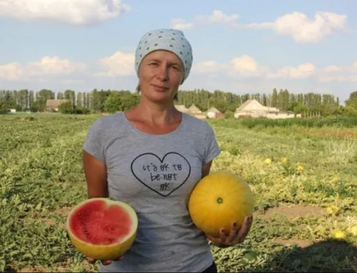На Херсонщині фермери почали вирощувати нові сорти динь