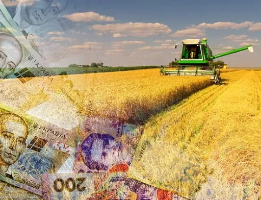 Звітність про сплату податків можна поки не подавати, карати за це не будуть, - голова ДПСУ