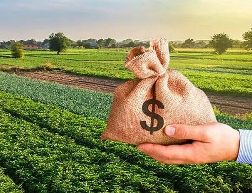 Земельний банк: бюджети різних рівнів отримали 343,7 млн грн
