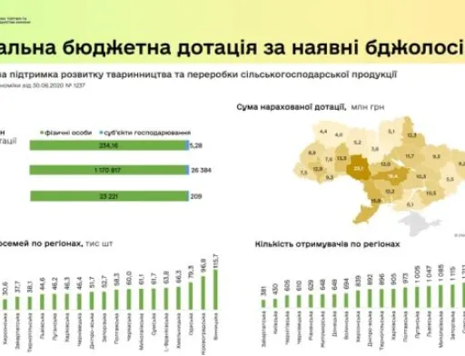 Українські бджолярі отримали майже чверть мільярда гривень дотацій