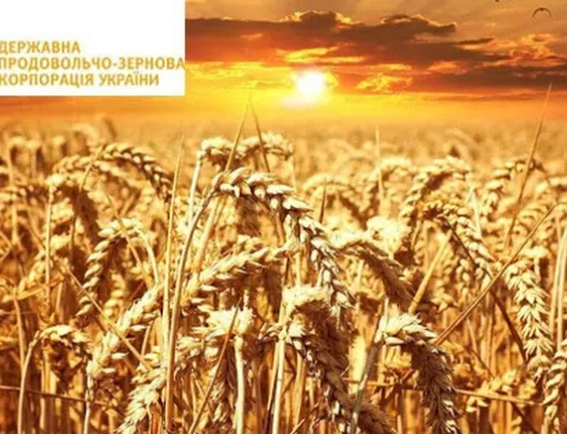 Правоохоронці викрили чиновника ДПЗКУ в нестачі майже 1,5 млн грн