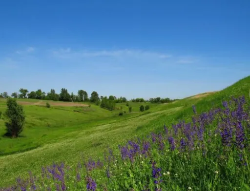 На Київщині захистили від розорювання цінний природний комплекс