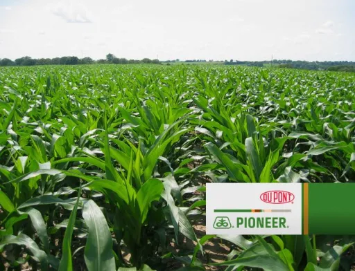 DuPont Pioneer Украины презентовала технологию CRISPR-Cas - механизм изменения генома, благодаря которому гибриды различных культур за достаточно короткий период можно сделать более урожайными и выносливыми