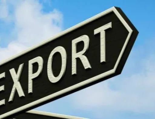 Законопроєкт №8166 відкриває можливість для нових схем при експорті агропродукції