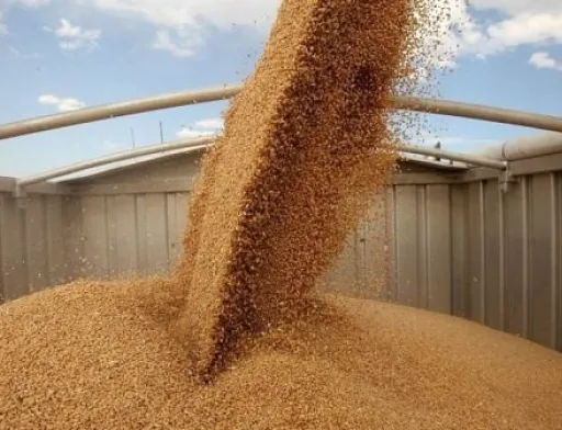 Уряд планує змінити правила для експортерів аграрної продукції
