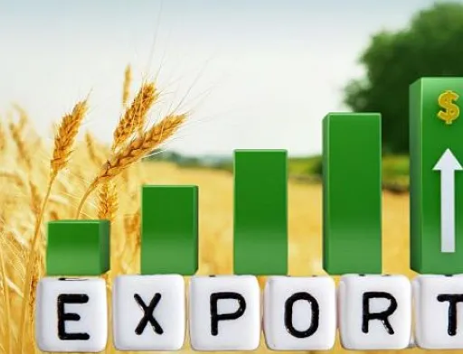 Через війну частка експорту агропродукції до ЄС зросла майже вдвічі