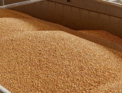 Україна створить коридор через Молдову та Румунію для експорту агропродукції