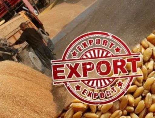 Через дії росіян світ щомісяця недоотримує мільйони тонн продовольства
