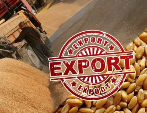 Через обмеження експорту продовольства українські фермери посіяли на 40% менше, ніж минулого року