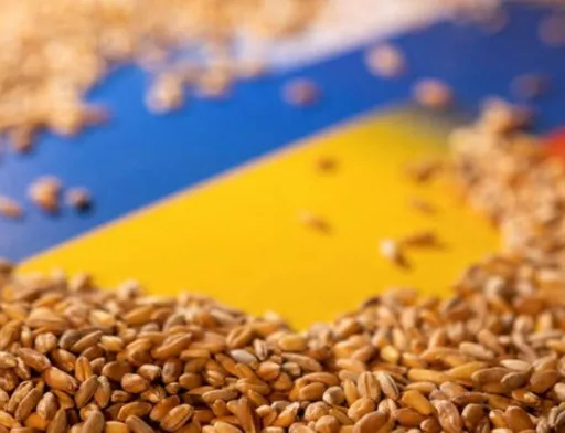 Україна пропонує розширити зернову угоду
