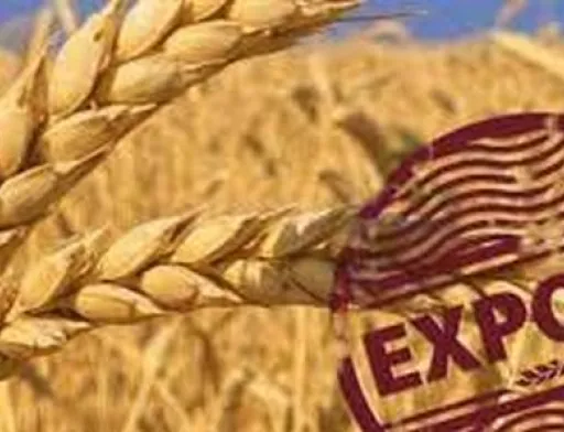 Експорт зерна перевищив 30 млн тонн