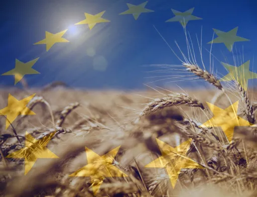 Успішний вихід на ринки ЄС українських експортерів можливий за орієнтування на стандарти Німеччини