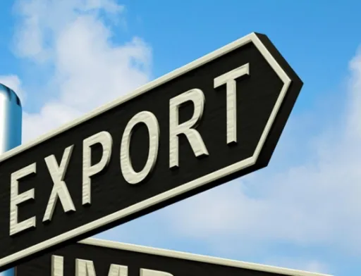 Китайський коронавірус може негативно вплинути на український експорт