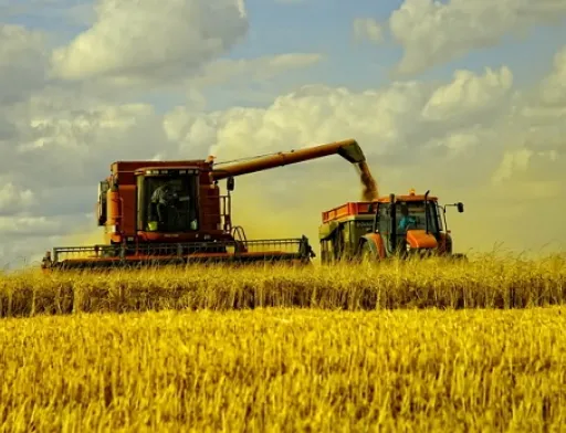 На сьогоднішній день у деяких областях орендна плата становить 10% від вартості землі. У підсумку, деякі культури вже вирощувати невигідно - наприклад, ячмінь. Та й пшениця - вже на межі