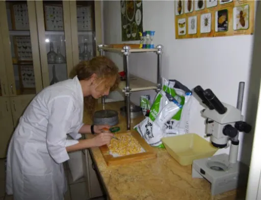 Уряд дав старт ринку приватних фітосанітарних лабораторій