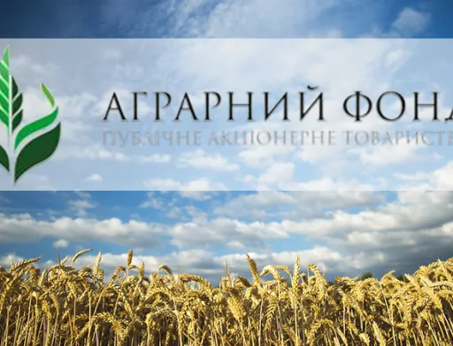 ПАО "Аграрный фонд" планирует запустить параллельный с форвардом инструмент, который позволит компании привлекать средства - речь идет о фьючерсе на пшеницу