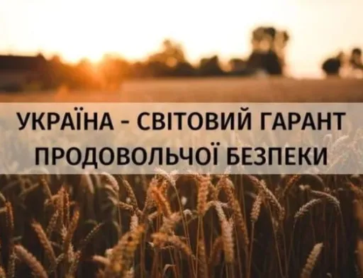 До України як гаранта продовольчої безпеки мають застосовуватися міжнародні норми безпеки, — Тарас Висоцький