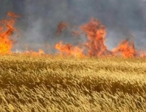 Фермерів Херсонщини закликали палити свої поля