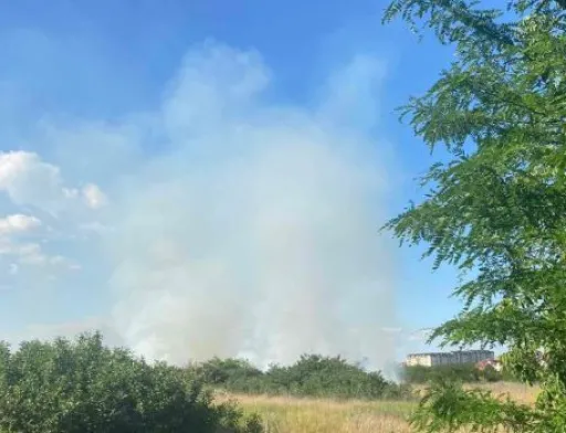 Через необережне поводження з вогнем на Одещині горять фруктові сади