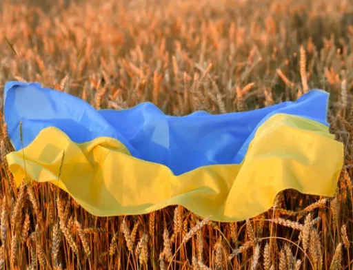 Ємен отримав 30 тис. тонн української пшениці