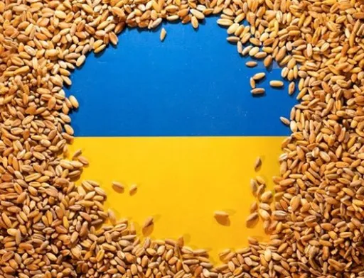 Україна в рамках ініціативи Grain from Ukraine готує відправлення до країн Африки ще 30 тис. тонн зерна