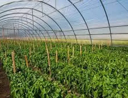 Ще 24 господарства отримали грантів на 68 млн грн