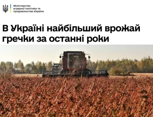 Україна зібрала найбільший урожай гречки за останні роки