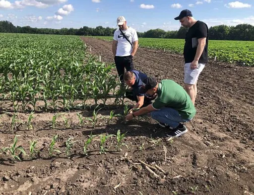 Corteva Agriscience заклала 10 навчальних майданчиків в 2022 році