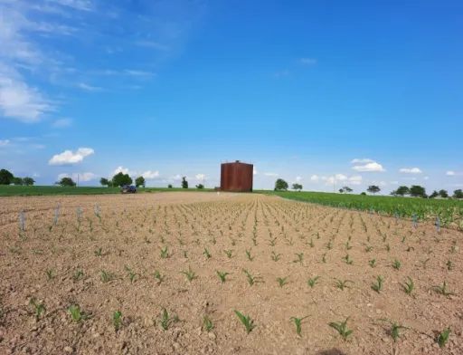 Corteva Agriscience розширила програму польових досліджень