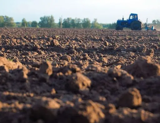 Чорнозем — наше зло. Не мотивує до боротьби за цивілізацію