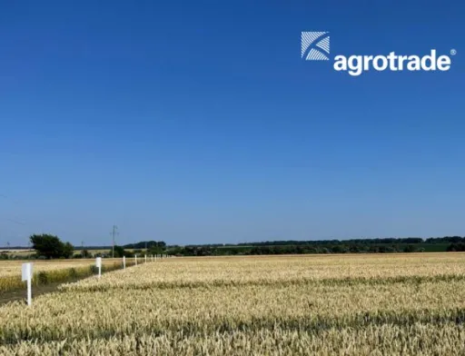 Найврожайніші культури Групи АГРОТРЕЙД 2022 року