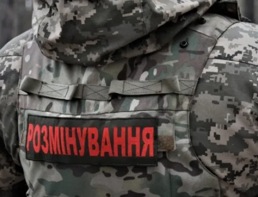 Наступного тижня на Херсонщину прибудуть 500 саперів для розмінування