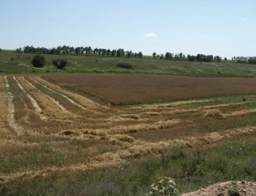 Землю у хмельницьких фермерів заберуть, щоб повернути гімназії та ліцею