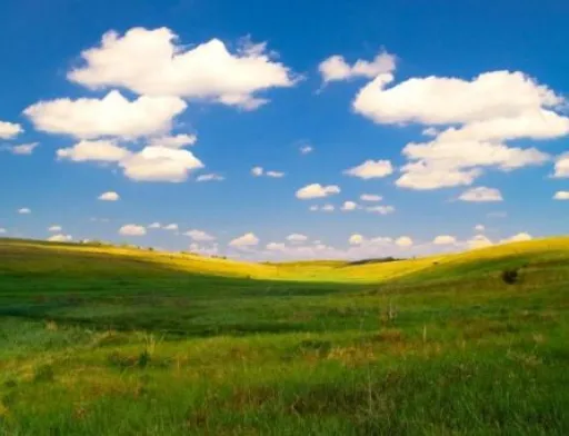 Сільрада на Миколаївщині передала заповідні землі у приватну власність