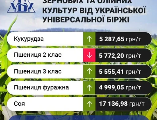 Цінові індикативи зернових та олійних за минулий тиждень