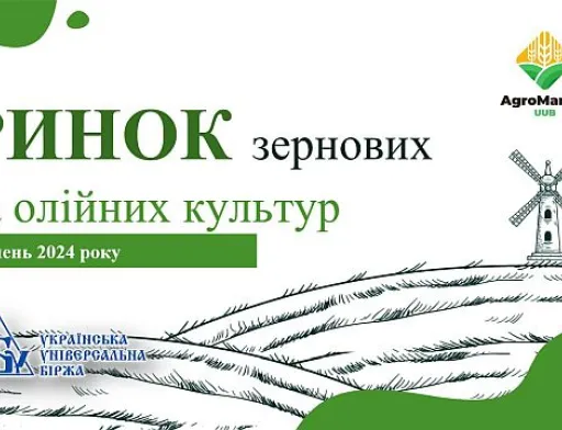Продовжується зростання на ринку зернових та олійних культур