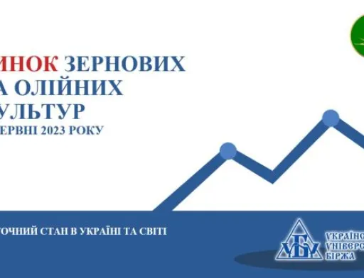 Підсумки червня на ринку зернових та олійних