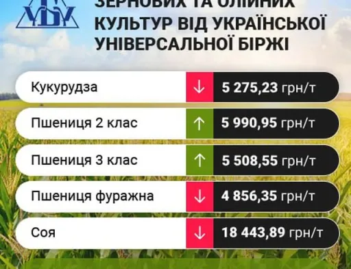 Тренд ринку за минулий тиждень на зернові та олійні