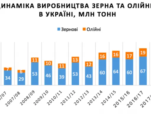 Цього року в Україні буде другий в історії врожай зернових