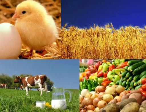 Названий лідируючий регіон України за обсягами виробництва агропродукції