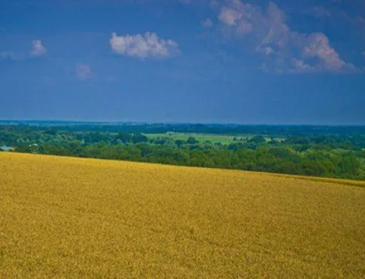Через мораторій на купівлю-продаж землі Україна за рік втратила $22.5 млрд, — дослідження