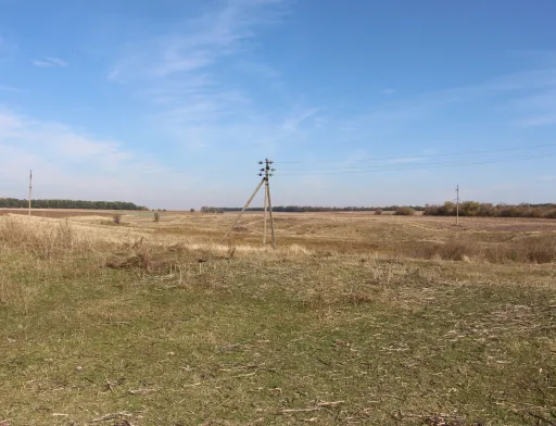 Щоб підвести електроенергію на поле, треба дати хабара