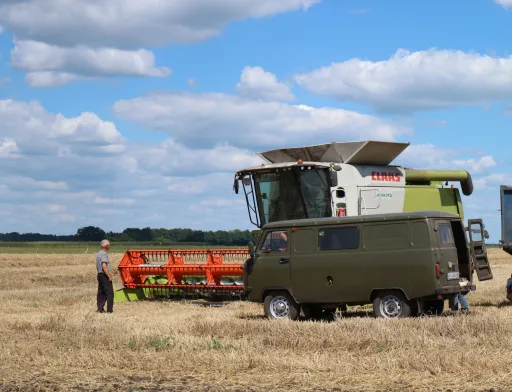 Частка фуражної пшениці в урожаї-2018 становить 40%