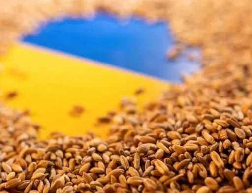 Три країни ЄС продовжили заборону на імпорт зерна з України