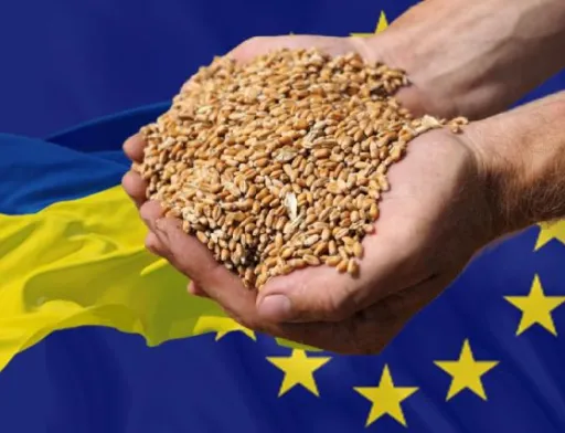 Польща сподівається, що заборона на імпорт зерна з України буде продовжена, – єврокомісар