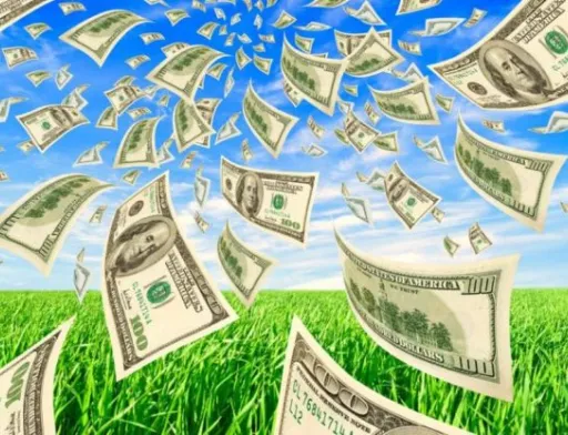 Чотири варіанти інвестицій в агросектор